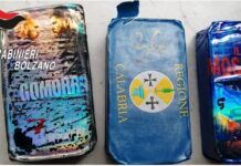 Carabinieri scoprono panetti hashish, alcuni avevano scritta “Regione Calabria”