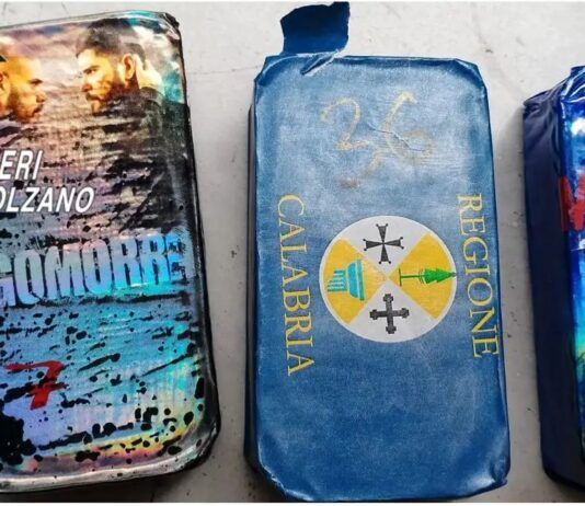 Carabinieri scoprono panetti hashish, alcuni avevano scritta “Regione Calabria”