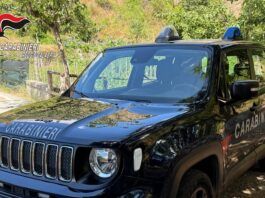 San Giorgio Morgeto – Rubano furgone ed escavatore del Comune: due persone arrestate