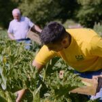 Oscar Green Coldiretti, Calabria sul podio: premiata la cooperativa Pianogrande di Decollatura