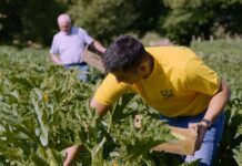 Oscar Green Coldiretti, Calabria sul podio: premiata la cooperativa Pianogrande di Decollatura
