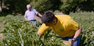 Oscar Green Coldiretti, Calabria sul podio: premiata la cooperativa Pianogrande di Decollatura
