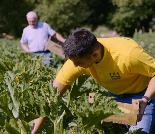Oscar Green Coldiretti, Calabria sul podio: premiata la cooperativa Pianogrande di Decollatura