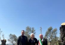 Rosarno, solidarietà del Comune all’imprenditrice Patrizia Rodi Morabito dopo atti intimidatori