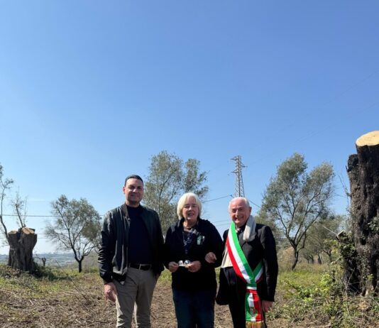 Rosarno, solidarietà del Comune all’imprenditrice Patrizia Rodi Morabito dopo atti intimidatori