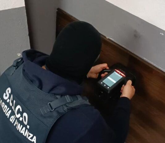 Traffico di cocaina e marijuana da 10 milioni di euro, 15 arresti