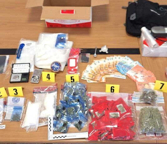 Droga confezionata come “regalo”: scoperto laboratorio in casa, arrestata una donna