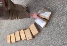 Operazione antidroga: 15 misure cautelari per traffici riconducibili alla ’ndrangheta