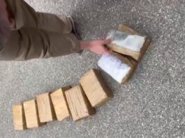 Operazione antidroga: 15 misure cautelari per traffici riconducibili alla ’ndrangheta