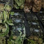 Gioia Tauro, sequestrati due quintali di frutta e verdura: blitz antiabusivismo della Polizia Municipale