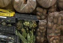 Gioia Tauro, sequestrati due quintali di frutta e verdura: blitz antiabusivismo della Polizia Municipale