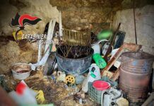Rifiuti abbandonati su un terreno: una denuncia e area sequestrata dai Carabinieri