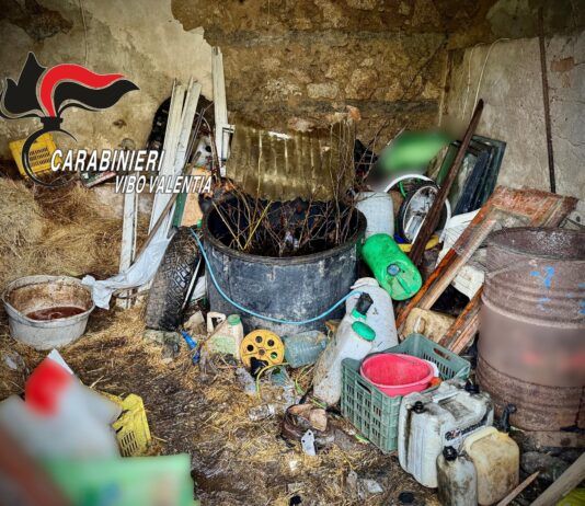 Rifiuti abbandonati su un terreno: una denuncia e area sequestrata dai Carabinieri