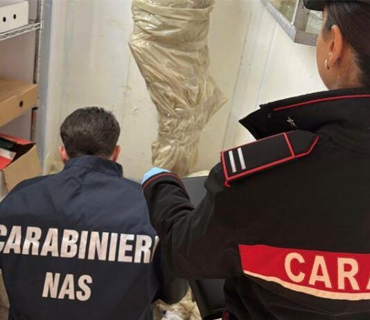 Controlli dei Nas nel weekend: sequestrata una tonnellata di cibo e scoperti lavoratori in nero