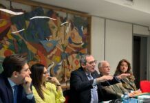 Olio di Calabria IGP, identità e sviluppo: all’Unical il futuro passa da turismo e qualità