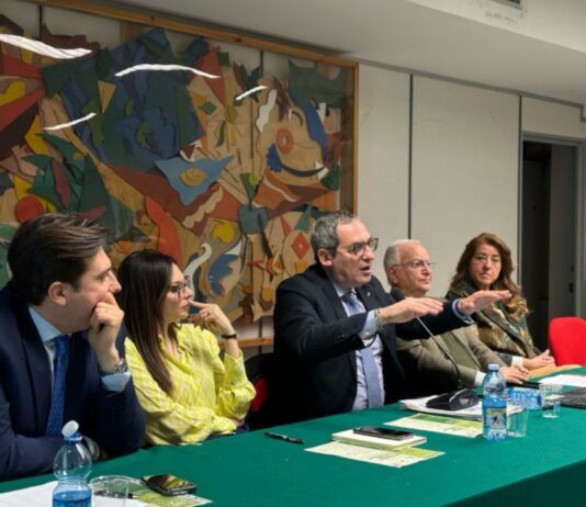 Olio di Calabria IGP, identità e sviluppo: all’Unical il futuro passa da turismo e qualità