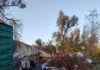 Rosarno nel degrado rifiuti: l’opposizione attacca l’amministrazione