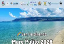 Mare e aria puliti 2026: San Ferdinando avvia la cabina di regia per la tutela ambientale