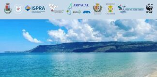 Mare e aria puliti 2026: San Ferdinando avvia la cabina di regia per la tutela ambientale