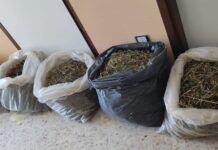 Sequestro di marijuana: trovati 18 kg durante controlli straordinari delle forze dell’ordine