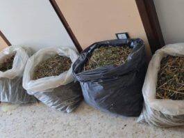Sequestro di marijuana: trovati 18 kg durante controlli straordinari delle forze dell’ordine