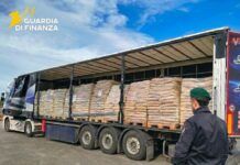 Sequestrato pellet contraffatto tra Calabria e Puglia: indagati due imprenditori