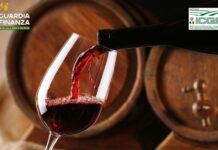 Vino falso DOP e IGP, operazione “Vinum Mentitum”: sequestrati 2,5 milioni di litri di vino