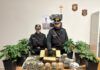Serre di marijuana in casa: arrestato 55enne per coltivazione e detenzione ai fini di spaccio