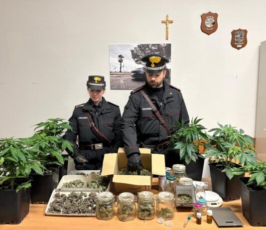 Serre di marijuana in casa: arrestato 55enne per coltivazione e detenzione ai fini di spaccio