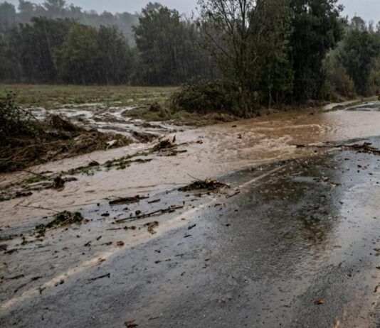 Maltempo in Calabria: nubifragio colpisce il Reggino con 201 mm di pioggia in 24 ore