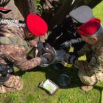 Prestito usuraio al 120%, arrestato 70enne con 130mila euro nascosti in pollaio