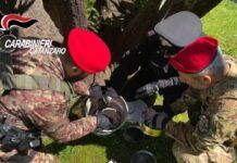 Prestito usuraio al 120%, arrestato 70enne con 130mila euro nascosti in pollaio