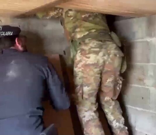 Droga nel sottosuolo – scoperto scoperto bunker segreto con serra clandestina: 4 arresti