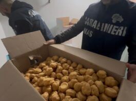 Sequestrati 419 kg di alimenti non tracciati in un panificio: controlli su sicurezza alimentare e lavoro