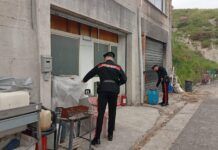 Sequestrati 360 kg di alimenti in un panificio: scattano sanzioni e sospensione dell’attività