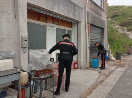 Sequestrati 360 kg di alimenti in un panificio: scattano sanzioni e sospensione dell’attività