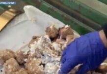 Dolce con sorpresa: cocaina nascosta in un profiteroles, un arresto