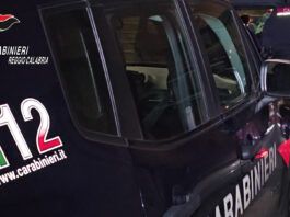 Blitz dei Carabinieri nella Piana di Gioia Tauro: caseificio abusivo, furti, allacci illegali e controlli a tappeto