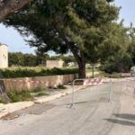 Forte vento fa crollare un albero in strada: morta una ragazzina di 12 anni