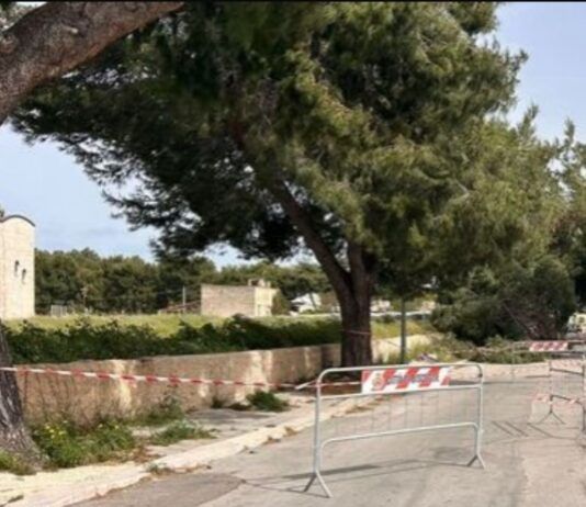 Forte vento fa crollare un albero in strada: morta una ragazzina di 12 anni