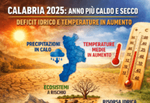 Calabria, 2025 anno più caldo e secco della media: piogge in calo e temperature oltre i valori storici