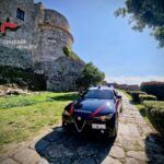 Controlli dei Carabinieri nel vibonese, denunce e sanzioni