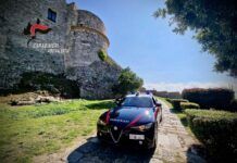 Controlli dei Carabinieri nel vibonese, denunce e sanzioni