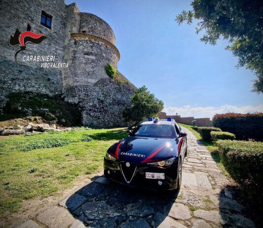 Controlli dei Carabinieri nel vibonese, denunce e sanzioni