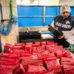 Prodotti ittici senza tracciabilità: sequestrati 15 chili dal NAS durante un controllo