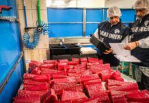 Prodotti ittici senza tracciabilità: sequestrati 15 chili dal NAS durante un controllo