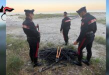 Sorpresi a tagliare cavi elettrici sulla spiaggia: due persone denunciate dai Carabinieri