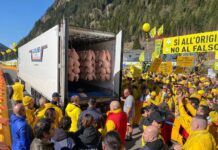 Made in Italy, Coldiretti: 10mila agricoltori al Brennero per cambiare il codice doganale