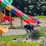 Orrore in pubblico: uccide e cucina un gatto nel parco, denunciato