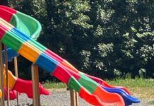 Orrore in pubblico: uccide e cucina un gatto nel parco, denunciato